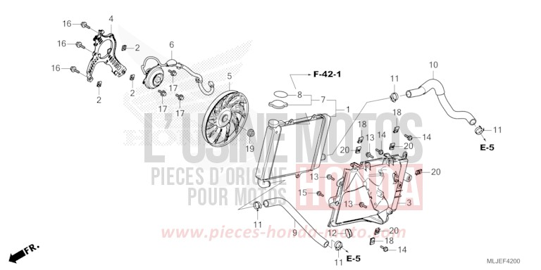 RADIATOR (R.) for Gold Wing MAT ARMRED GREEN METALLIC (G208) from 2024